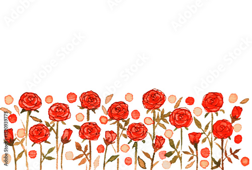Fototapeta Naklejka Na Ścianę i Meble -  赤いバラの花畑のイラスト素材　薔薇　水彩　手書き　フレーム
