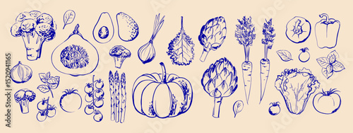 Hand drawn line food illustration vector. Vegetables and herbs, spices. Farm food. Healthy eating