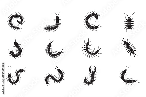 Curved and twisted centipede silhouettes in minimalist style forming letters and abstract motion patterns