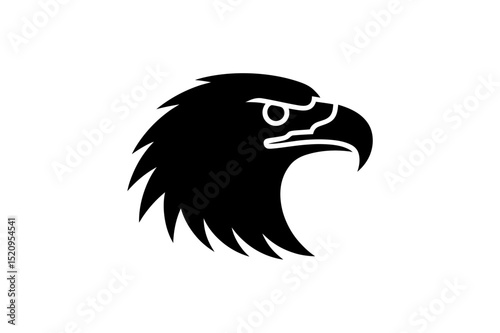Eagle head vector graphic bird of prey silhouette