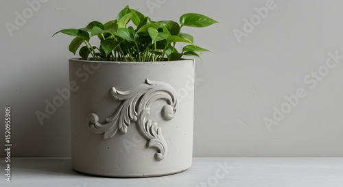 Golden Pothos Plant in Elegant Concrete Pot with Ornamental Detail: A Modern and Minimalist Indoor Gardening Concept for Home Decor and a Touch of Greenery in Interior Design