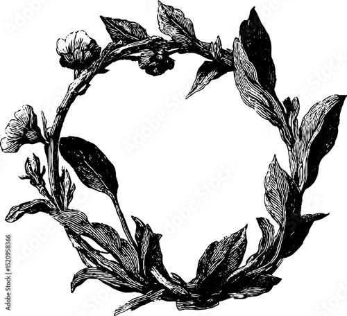 Engraved botanical circular ornament design for artistic decoration