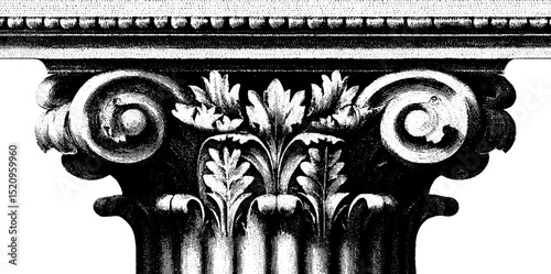 Intricate engraved illustration of classical column capital design