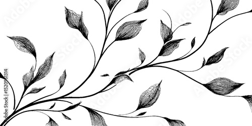 Engraved botanical art illustration of curved tendrils and leaves. Elegant vintage design with intricate natural foliage, ornate scroll patterns