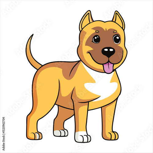 American Pit Bull Terrier 