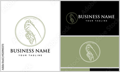 Hand Holding Grapes Logo Design.