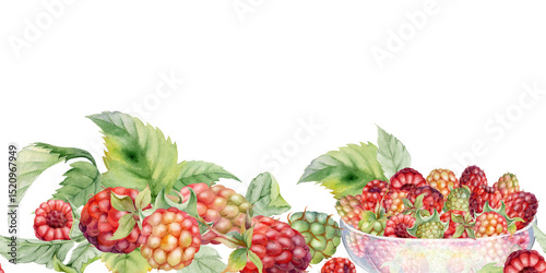 Raspberry ripe berries with leaves served in glass bowls, hand drawn in watercolor, scattered picked harvest. Isolated seamless banner. Dessert cafe menu, cookbook, craft farmers market, gardening eco