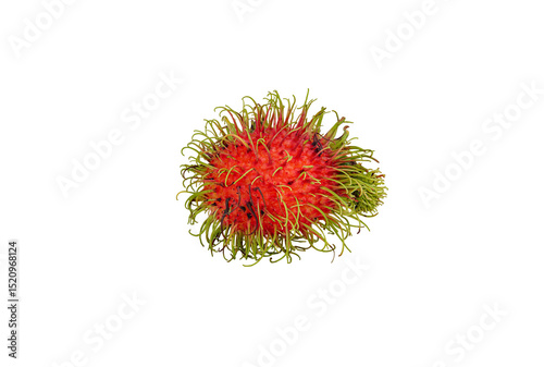 fresh rambutan fruit isolated on transparent background.