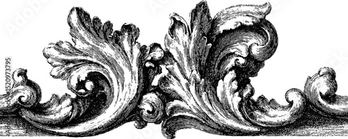 Luxurious baroque flourish design engraved illustration for elegant decor