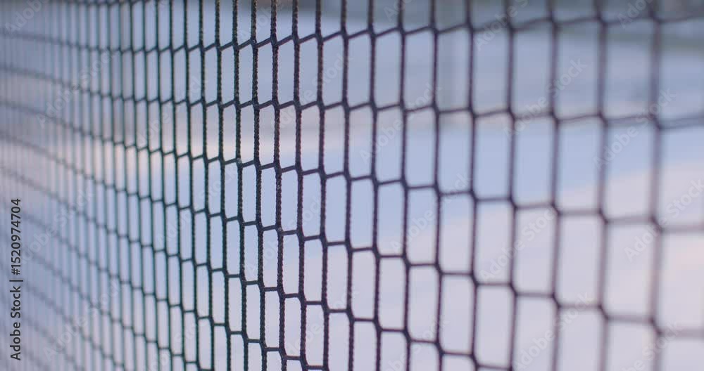 A hexagonal wire mesh fence against a light background, showcasing its intricate structure