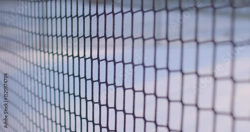A hexagonal wire mesh fence against a light background, showcasing its intricate structure