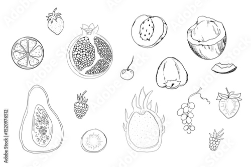 Sketch set fruits, hand drawn tropical fruits and berries. Sweet fresh sliced kiwi, peach and pomegranate, cute cherry and strawberry. Pear with leaves. Coconut slice and half figs.