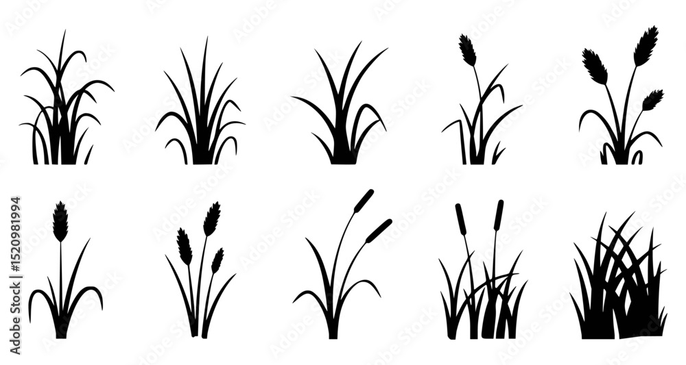 Naklejka premium Silhouettes of various grass and reed plant illustrations