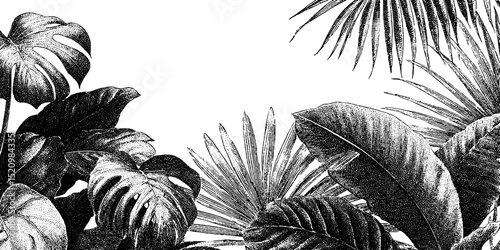 Elegant tropical foliage frame with intricate engraved leaves for botanical designs