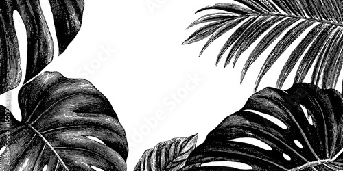 Tropical foliage engraving frame with monstera and palm leaves for elegant design