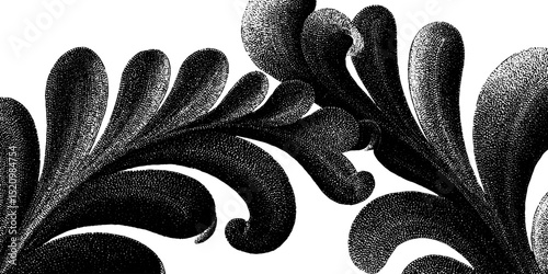 Elegant engraved illustration featuring twisting organic lines in black and white