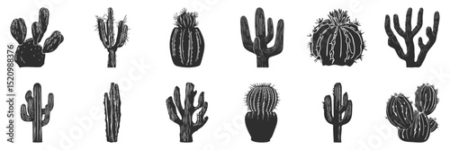 Cactus Silhouettes Collection. Desert Plant Variety And Succulent Shapes Isolated Vector Illustration Set