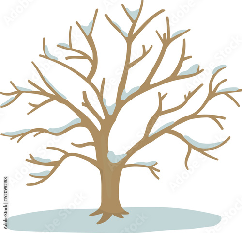 Colored illustration of a bare tree in winter.
