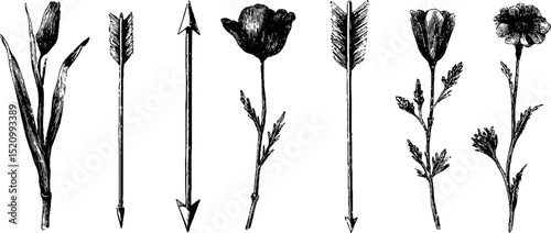 Vintage engraved collection of arrows and floral elements for design