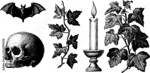 Gothic engraved illustrations set featuring bat, candle, skull, and ivy