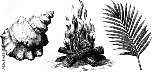 Engraved beach bonfire scene with shells and palm leaf for design