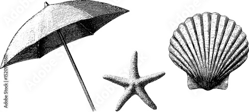 Vintage beach elements engraving with umbrella, starfish, and seashell for summer design