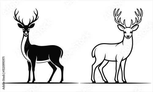 vector illustration of a deer