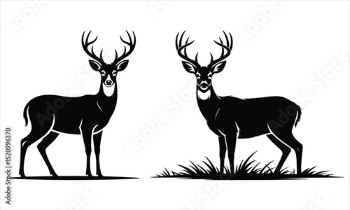 silhouette of a deer