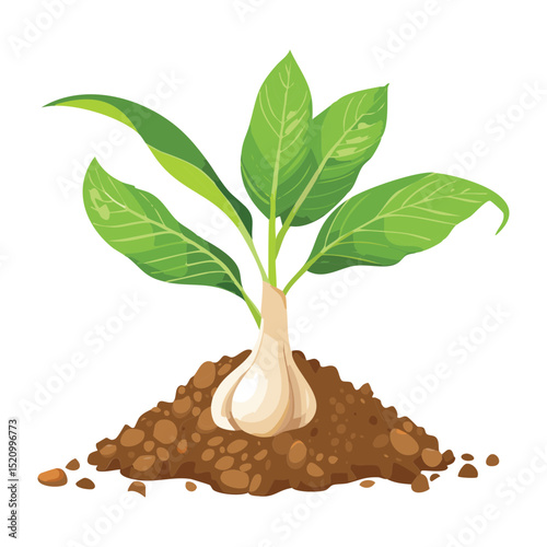 Tropical Fruit Sprout Illustration