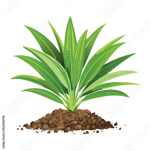Lush Green Foliage in Soil