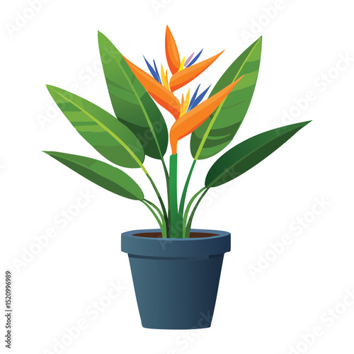 Bird Paradise Flower Blue Pot