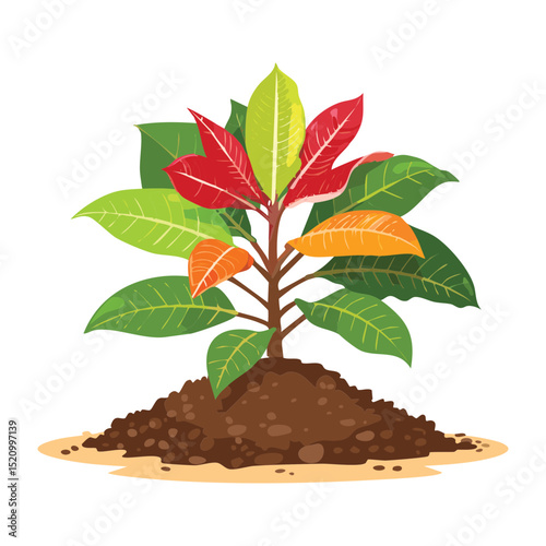 Vibrant Young Plant with Reddish Leaves