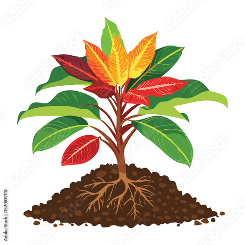 Bright Red and Green Leafy Plant