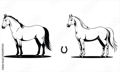 horse vector illustration