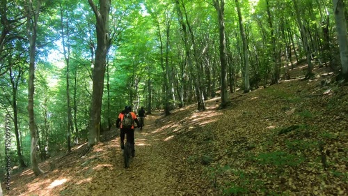 As wheels spin over fallen leaves, sunlight breaks through tangled woods, spotlighting a biker's agile descent along the winding forest trail.
