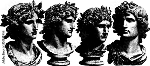 Classic engraved busts with curly hair for artistic display and design