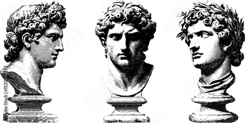 Intricate engraved bust illustrations set featuring classic sculptures for artistic design