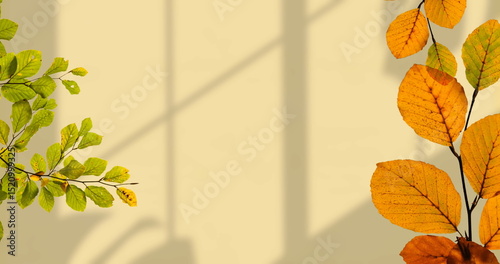Image of leaves on branches over shadows on beige wall