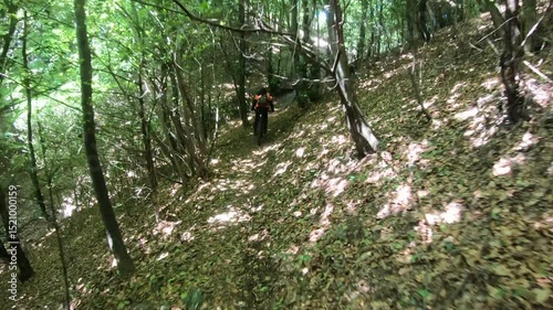A mountain biker rushes down a leafy woodland trail, golden sunlight flickering through twisted branches and shadows playing across the forest floor.