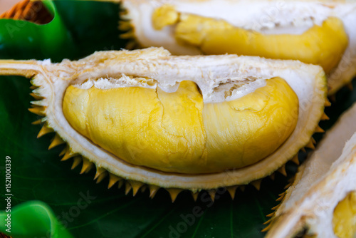 close-up of opened fresh ripe durian fruit with golden yellow flesh and thorny husk, placed on green tropical leaf, showing creamy texture, known as the king of fruits

