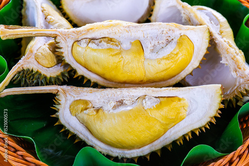close-up of opened fresh ripe durian fruit with golden yellow flesh and thorny husk, placed on green tropical leaf, showing creamy texture, known as the king of fruits

