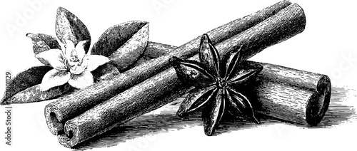 Engraved botanical illustration of cinnamon sticks and star anise with leaves