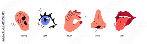 Five senses. Hearing with ear, looking with eye, smelling with nose, tasting with mouth, touching with hand. Sensory perceptions with organs. Flat vector illustration isolated on white background
