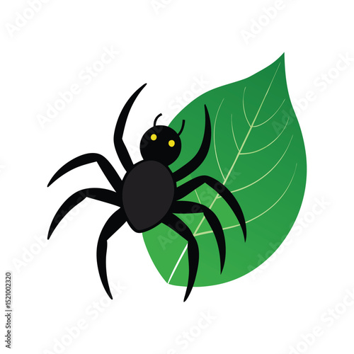 spider crawling on a leaf vector