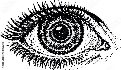Scared eye, collage element with vintage stipple photocopy effect, with retro grainy texture. Vector illustration for grunge psychedelic surreal poster or tattoo in 90s aesthetic