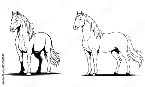 horse vector illustration