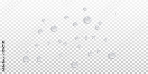 Vector water drops.Realistic raindrops.Bubbles, rain, water.EPS 10.