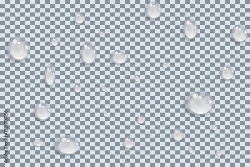 Vector water drops.Realistic raindrops.Bubbles, rain, water.EPS 10.