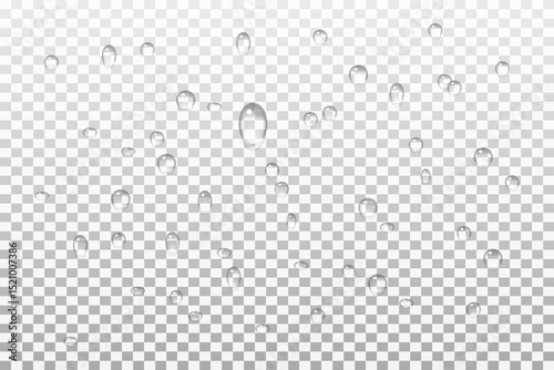 Vector water drops.Realistic raindrops.Bubbles, rain, water.EPS 10.