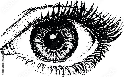 Scared eye, collage element with vintage stipple photocopy effect, with retro grainy texture. Vector illustration for grunge psychedelic surreal poster or tattoo in 90s aesthetic